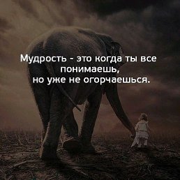 , , 53 