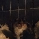 ���� ����, ��������, 53 ���� - ��������� 9 ������� 2022