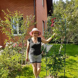 ������, ���������, 68 ���