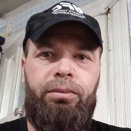 ����, �����-���������, 39 ���