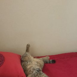 ���� ���, ����������, 25 ��� - ��������� 14 ������ 2023