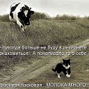 ���� ������, ���������� - ��������� 15 ������ 2022 � ������ ���� ����������