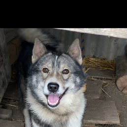 ������, ������, 38 ���