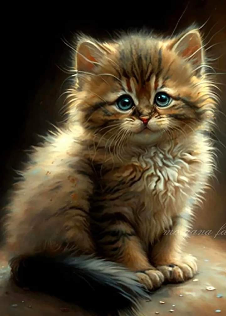 Советы для Котов и Кошек по уходу за Человеком. Человек — один из самых лучших домашних питомцев ...