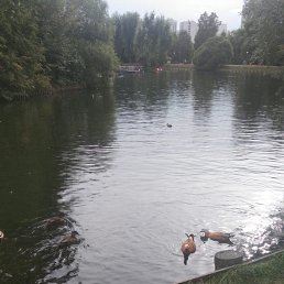 ���� �����, ������, 40 ��� - ��������� 6 ������� 2022