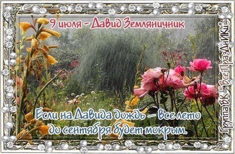   ,    . - 8  2022  21:24