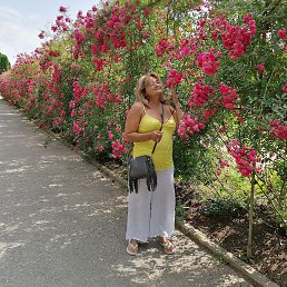 ���� ��������, ������, 49 ��� - ��������� 22 ������� 2022