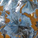 ���� ����, �������, 63 ���� - ��������� 8 �������� 2022 � ������ ���� ����������