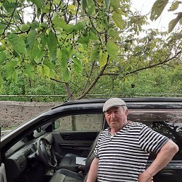 �����, ������, 75 ���