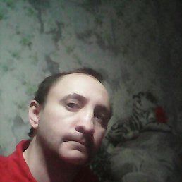 ���� ˸��, ������, 42 ���� - ��������� 6 ������� 2023