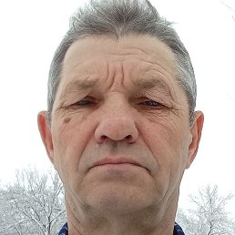 �������, ����, 67 ���