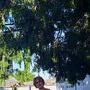 ���� �������, ����, 63 ���� - ��������� 16 ���� 2022 � ������ ���� ����������