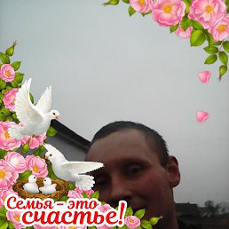 ���� �������, �������, 41 ��� - ��������� 17 ������� 2023