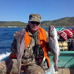 ���������, �����������, 58 ���