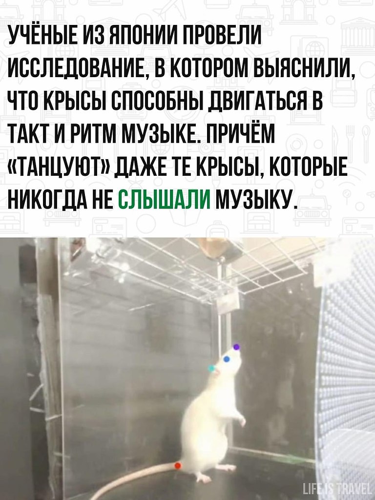   ,         !    . - 2