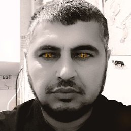 ������, ������, 43 ����