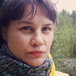 ����, �����-���������, 44 ����