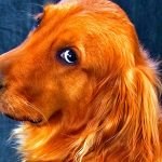 :) Много сейчас о снах пишут, что родственники приходят. И я расскажу. Так вышло, что я из ...