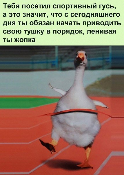 ������ ��������� :D - 10 ������� 2022 � 21:46
