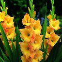 ���� ������, �����-���������, 56 ��� - ��������� 22 ������� 2022 � ������ ���� ����������