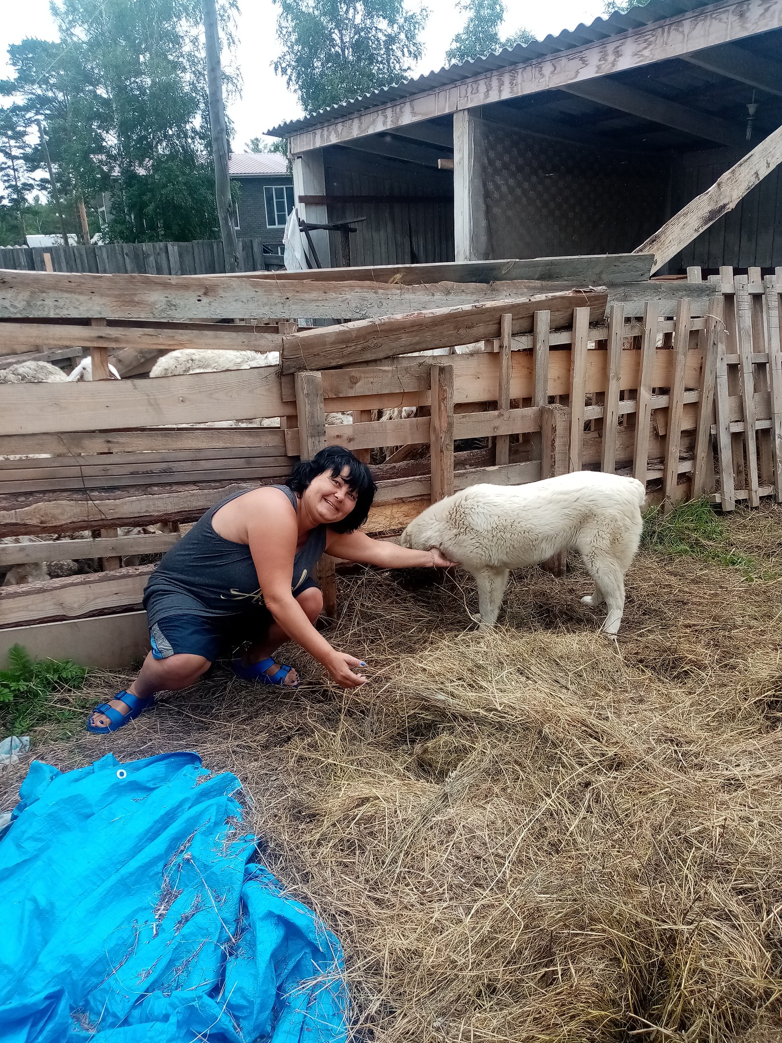 ***Victoria Viktorovna*** - 4  2022  10:36 - 2