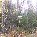  ***L***,   -  3  2022    24-25  2022 .