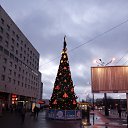 ���� ����, ������, 49 ��� - ��������� 16 ��� 2022 � ������ ������-���������