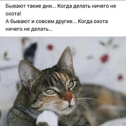 ����, ��������, 59 ���