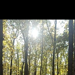 ��������, ��������, 50 ���