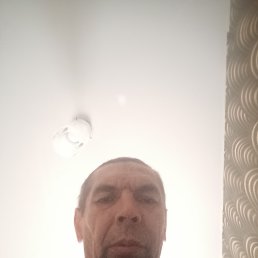 , 48, 