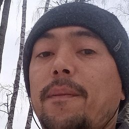 �����, ��������, 37 ���