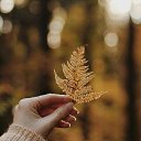 ���� Suiu, ������� - ��������� 29 �������� 2022 � ������ ���� ����������