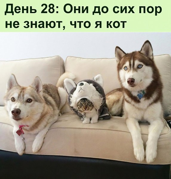 ������� �� ��� ���?