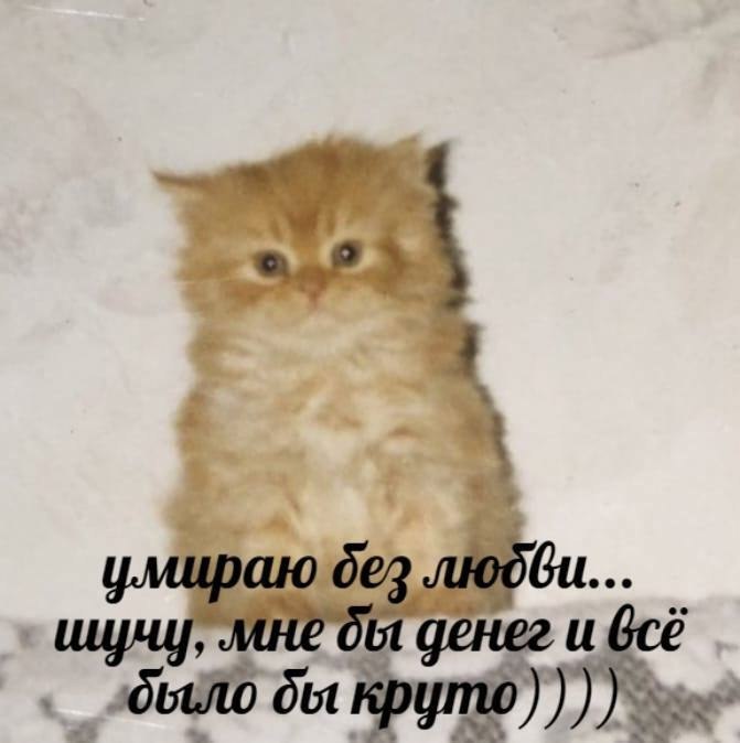    - 21  2022  16:21