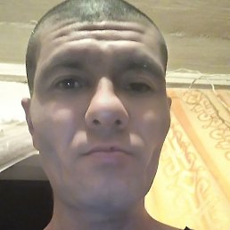 ����, �������, 43 ����