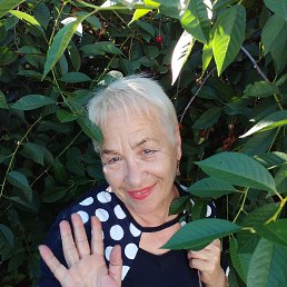 ���� �������, ������, 66 ��� - ��������� 23 ���� 2022