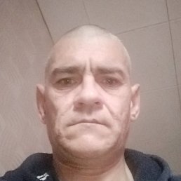 �����, ������, 46 ���