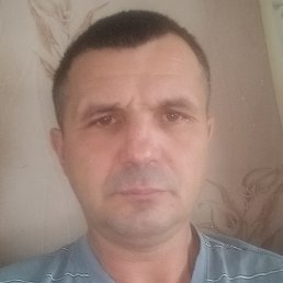 �����, ������, 49 ���