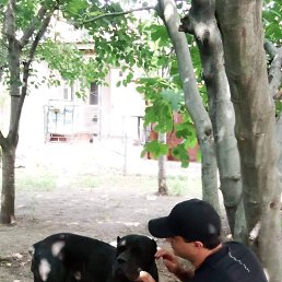 ���� �����, �������, 39 ��� - ��������� 2 ���� 2022