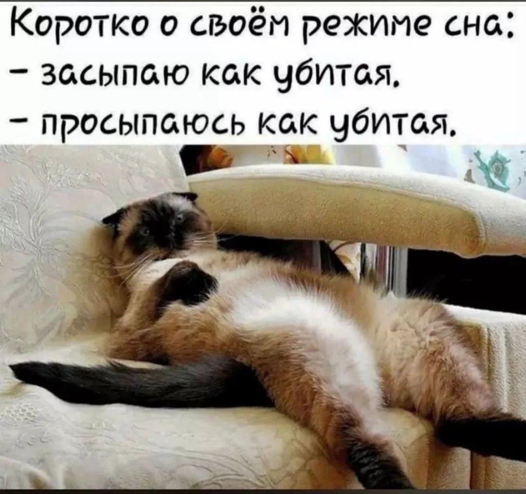   - 1  2022  22:56
