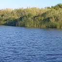 ���� ����, ������, 43 ���� - ��������� 27 ������� 2022