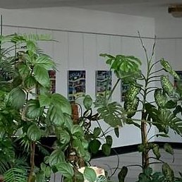 ����, �����, 66 ���