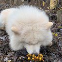 ���� ������, ����, 53 ���� - ��������� 5 ��� 2022