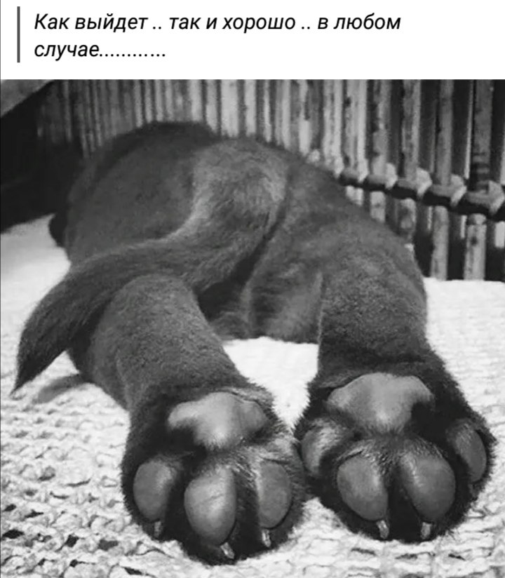 ***Victoria Viktorovna*** - 6 ������ 2023 � 07:10