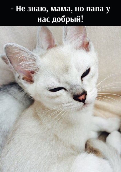 ��� ���� � ����� �� �� - 25 ������ 2022 � 13:30 - 2