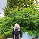 ���� ������, �����, 61 ��� - ��������� 23 ������� 2022