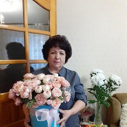 ���� �������, �����, 72 ���� - ��������� 24 ������� 2022