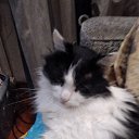 ���� ���������, �����-���������, 104 ���� - ��������� 6 ���� 2022