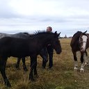 ���� ���������, ������ ��������, 56 ��� - ��������� 27 �������� 2022 � ������ ���� ����������