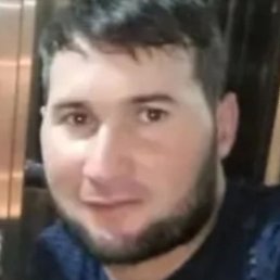 �������, ���������, 31 ���